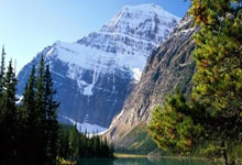 开云体育下载-包含英雄榜上谁最强？亚洲赛场上的巅峰之争即将展开的词条