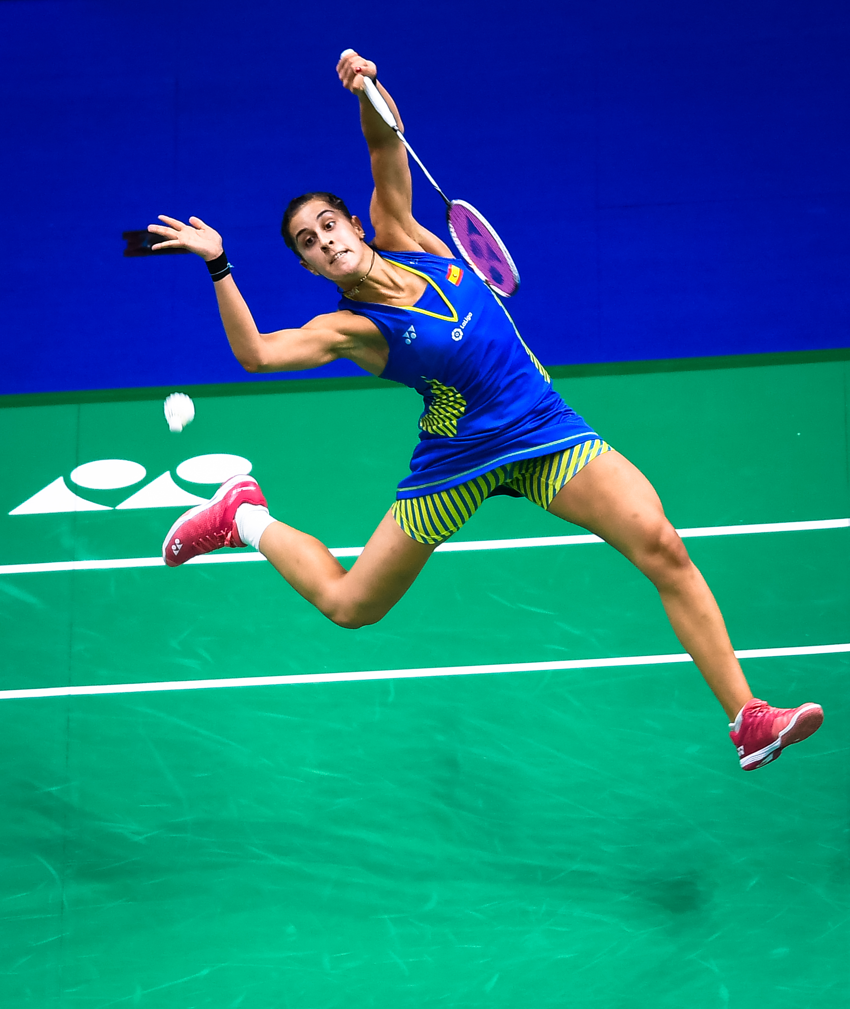 日本羽毛球队绝杀印尼羽毛球队,马琳惊艳世界的简单介绍 日本羽毛球队绝杀印尼羽毛球队,马琳惊艳世界的简单介绍