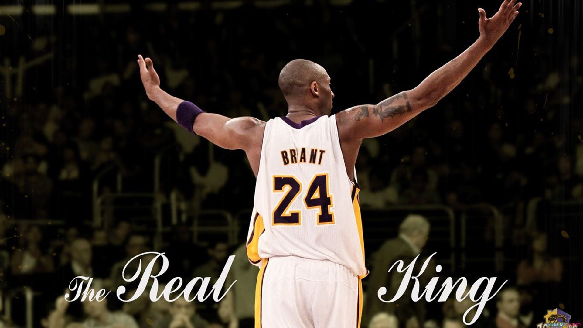 奇才对阵鹈鹕，保罗的掌控力为何让对手完全无解？